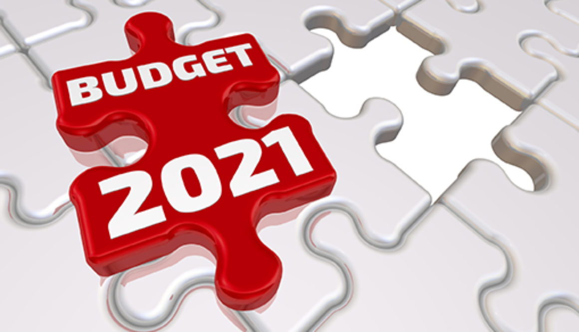 The budget of 2021. The inscription on the missing element of the puzzle