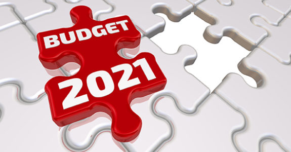 The budget of 2021. The inscription on the missing element of the puzzle